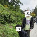 영흥숲공원 숲놀이터 이미지