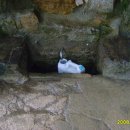 상계약수 이미지