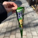 임신 16~17주 기록 | 성별 확인 실패 후 결국 서브병원까지..