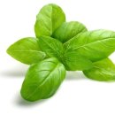 금은농장 이미지