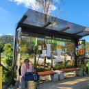 신바람2노래연습장 이미지