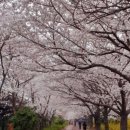 한솥도시락 덕포역점 이미지