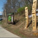 흥제 Daum카페
