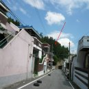 서구-02-34 이미지