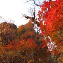 설악기획 이미지