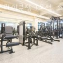 신사 라이크짐 이미지