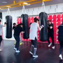 더 복싱 짐'엘' 이미지