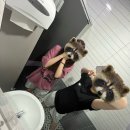 마루콩콩 이미지