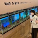 비디오백화점 경기중앙신문