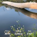 S-클래스 체육관 | 무에타이 원데이 클래스•캄빌리지 선셋 요가...PUMP 2.0 피트니스 센터 일일권•앙깨우호수 러닝 후기