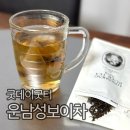 내포비료 | 보이차 굿데이굿티 용생 0618 운남성보이차
