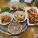 느릅나무순대국