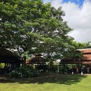 소이네 닭장 | 태국 치앙마이 혼자여행 코스 추천 그랜마 홈 쿠킹클래스