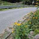 오쿨리펜션 | 가평 독채펜션 추천! 자연 속 힐링 ‘가평 오쿨리펜션’ 후기