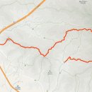 팔공산녹색길 숲길 1코스 이미지