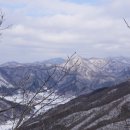 진안농협주유소 이미지