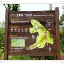 서울개명초등학교 이미지