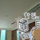 성우전파사