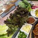 임당식당 이미지