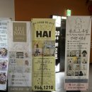 우산동물병원 | 하이 반려동물 행동 클리닉 강아지 마음건강검진 내돈내산 후기