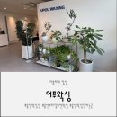 비치움바스틱 홈케어 | 울산 중구 왁싱샵 어푸왁싱 브라질리언 왁싱 잘하는 곳