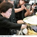 김대중평화문화제 Daum카페
