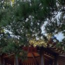 전곡항 마리나 관광안내소 이미지