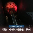 [교육기부][초2~6학년]통하는 어린이 역사 | 런던 자연사박물관 예약 아이와 런던여행 투어부터 맛집까지 총정리