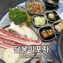 달봉이회수산 | 고기와 회를 함께 즐길 수 있는 매곡동 맛집 ‘달봉이포차’