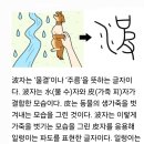 에이온