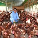 서산기쁨농장 이미지