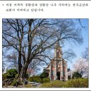 마고 Daum카페