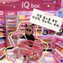 옥포태양동물병원 | 아이큐박스 브랜드 서포터즈 11기 활동 | 3개월 동안 함께한 특별한 순간과 제품 솔직 후기🌟