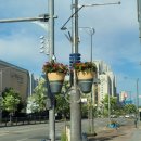 배방읍 배방로 이미지