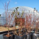 철랑농장 이미지