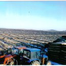 산동농장 이미지