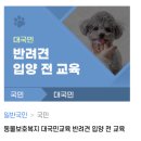 개인생활펫 | 유기견 보호소 입양 절차 상세 후기 + 지원금 무료 펫보험 사전교육 조건까지