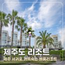 벨룸(Velum)리조트 | 제주도 리조트 제주 서귀포 가족여행 숙소 벨룸리조트 솔직후기