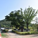 하우명 효자정각 이미지