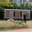 꽃단지 화장실 이미지