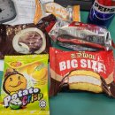 마차초등학교 | [25.12] 영월, 마차초등학교 작가와의 만남, 동화작가 차율이 강연