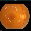 주식회사 보사 이미지