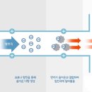 전주현농장 네이버블로그