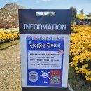 강진군관광안내소 | 강진만 춤추는 갈대축제 2025 강진 가을축제 방문후기