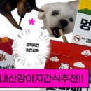 미용하러오개 네이버블로그