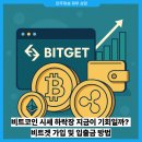 (주)미주테크 | 비트코인 시세 하락장 지금이 기회일까? 비트겟 가입 입출금 방법은