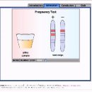 How a Pregnancy Test Works 이미지