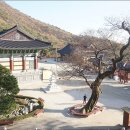 통일기원 미륵대불 이미지