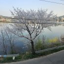 명리학(초급) 이미지