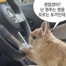 우성자동차공업사 이미지